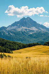 Fototapeta premium Scenic mountain view behind an open field in summer