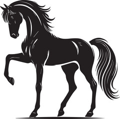 Horse silhouette isolated on white