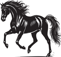 Horse silhouette isolated on white