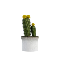 cactus in a pot 3d render
