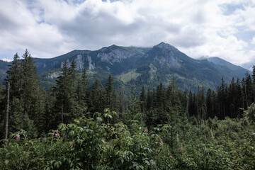 Zakopane, Tatra mountains in the fog