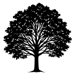 silhouette of tree