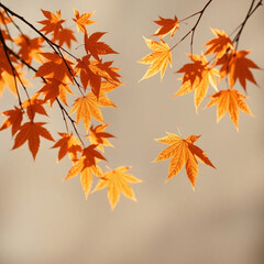 Autumn maple leaves blowing in the air. Movement and natural flow with isolated against transparent background.
