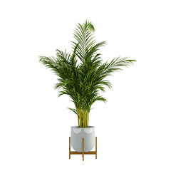 Green Plant Pot on White Background 3D Render