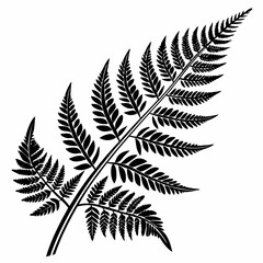 Obraz premium Wild Fern vector silhouette black design white background