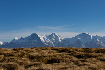 niederhorn bernes oberland