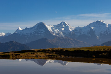 niederhorn bernes oberland