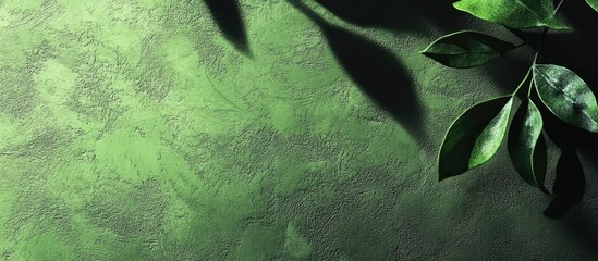 Textured Green Wall with Leaf Shadows for Spring or Summer Theme Featuring Black Overlay and Empty Space for Custom Text or Branding