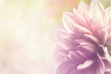 Fototapeta premium Close-up Photograph of a Light Purple Dahlia Flower