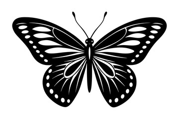 Butterfly silhouette isolated on white