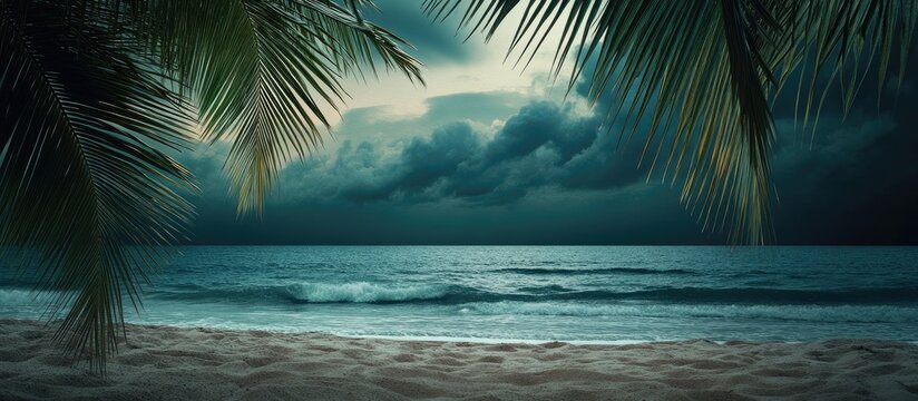 Mysterious beach scene at dusk with dark clouds and palm leaves creating a moody atmosphere for relaxation and contemplation.