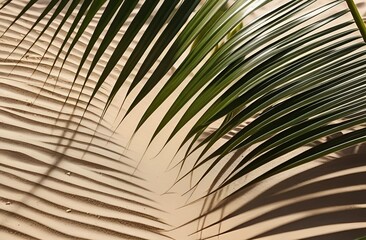 Obraz premium a blue background with palm trees and a place for text.