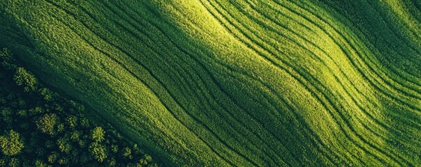 Naklejka premium Lush green fields display a picturesque landscape, showcasing textured terrain and vibrant vegetation under soft, natural light.