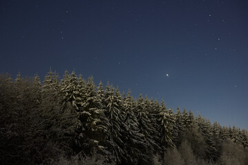 A beautiful, snowy forest landscape beneath a breathtakingly starry night sky awaits exploration