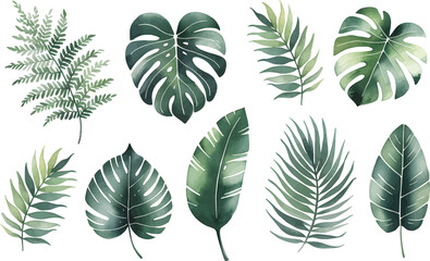 Set of tropical floral watecolor. Tropical green leaves on white background. Watercolor set of vector tropical leaves.