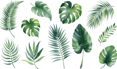 Set of tropical floral watecolor. Tropical green leaves on white background. Watercolor set of vector tropical leaves.