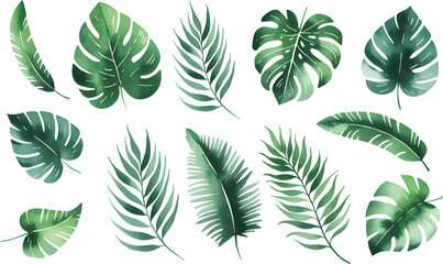 Set of tropical floral watecolor. Tropical green leaves on white background. Watercolor set of vector tropical leaves.