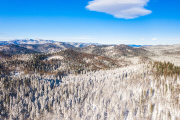 Croatian nature landscape, beautiful winter panorama of woods in Gorski kotar region