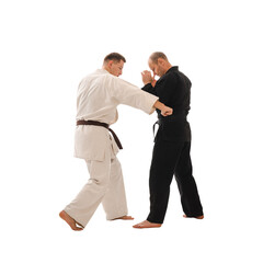 Karate sparring