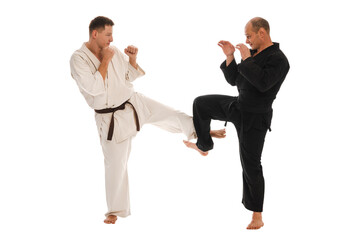 Karate sparring
