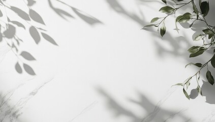 Elegant Greenery Shadows on Marble Background Minimalist Design