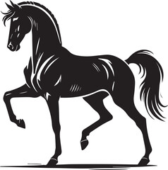 Horse silhouette isolated on white