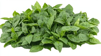 Fresh Spinach Leaves - Vibrant Green Goodness for a Healthy Diet