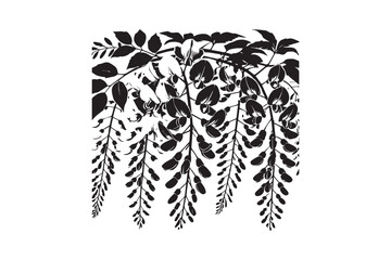 simple and unobtrusive wisteria flowers vector silhouette illustration isolated in white background

