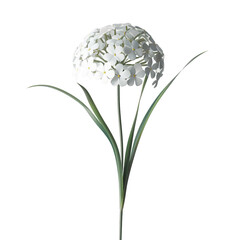 A 3D render of a cartoon style white flower stalk. The flower stalk is in a minimalist style and is isolated on a transparent background. The flower stalk has a few white flowers at the top.