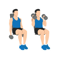 Fototapeta premium Man doing seated both arms dumbbell bicep hammer curls exercise. Flat vector illustration isolated on white background