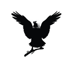 Bald eagle silhouette vector illustrations