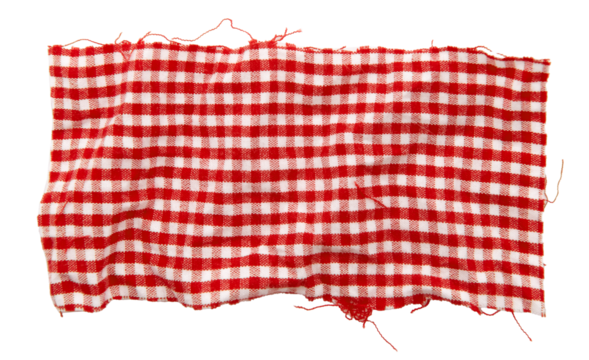 Piece of torn crumpled checkered fabric on a white background. Textile. Cellular tissue isolate