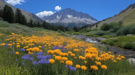 Fototapeta premium Mountain meadow wildflowers stream.