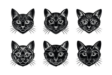 Fototapeta premium set of black cats head