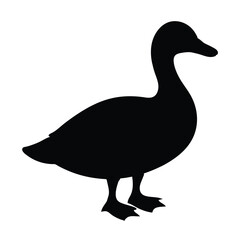  silhouette of a Cute duck, Duck Vector Design
