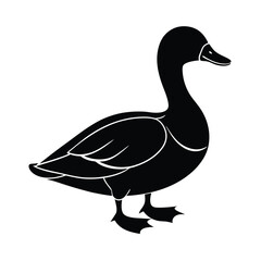  silhouette of a Cute duck, Duck Vector Design