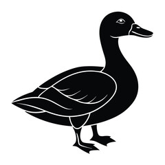  silhouette of a Cute duck, Duck Vector Design