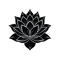 Beautiful lotus flower silhouette and Black color flower Vector illustration Design
