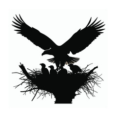 Obraz premium Bald eagle silhouette vector illustrations