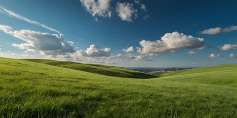 Fototapeta premium A vibrant green meadow stretches towards a boundless blue sky, dotted with fluffy white clouds
