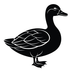 Cute duck silhouette vector and illustration Design