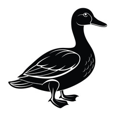 silhouette of a cute duck