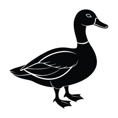Cute duck silhouette vector and illustration Design