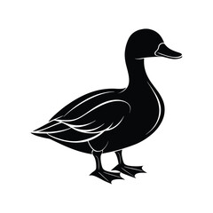 Beautiful silhouette of duck vector illustration Design
