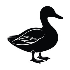 Beautiful silhouette of duck vector illustration Design