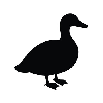 silhouette of a cute duck vector and illustration Design