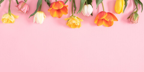 Flower composition on pastel pink background. Beautiful multicolored tulips, border, pattern with empty space. Easter, Mother's Day, Women's Day