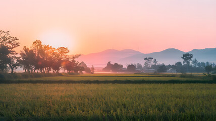 A photo of a beautiful sunrise over a rice field.