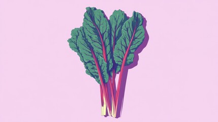 Vibrant Chard Bunch on Pink Background - Minimalist Food Still Life