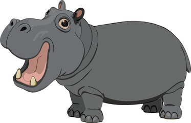 Big gray hippopotamus opening mouth and showing teeth